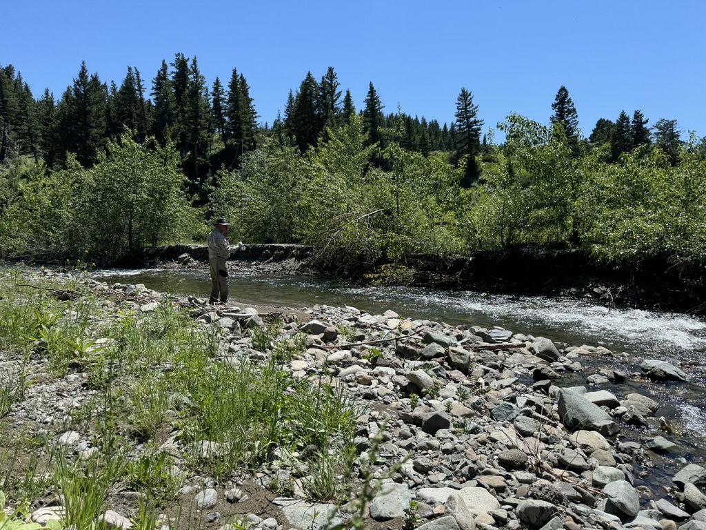Private spring creek setting