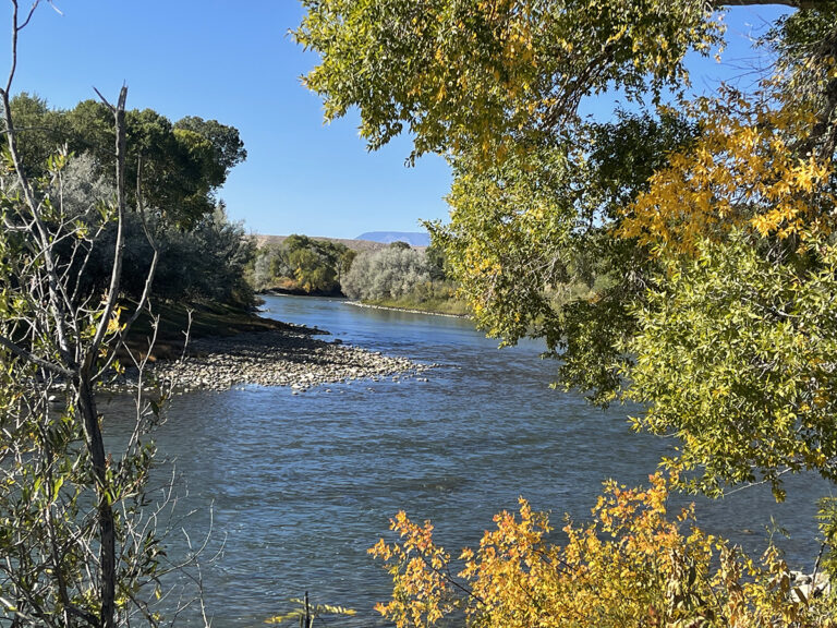 Fall fishing on the Clarks Fork