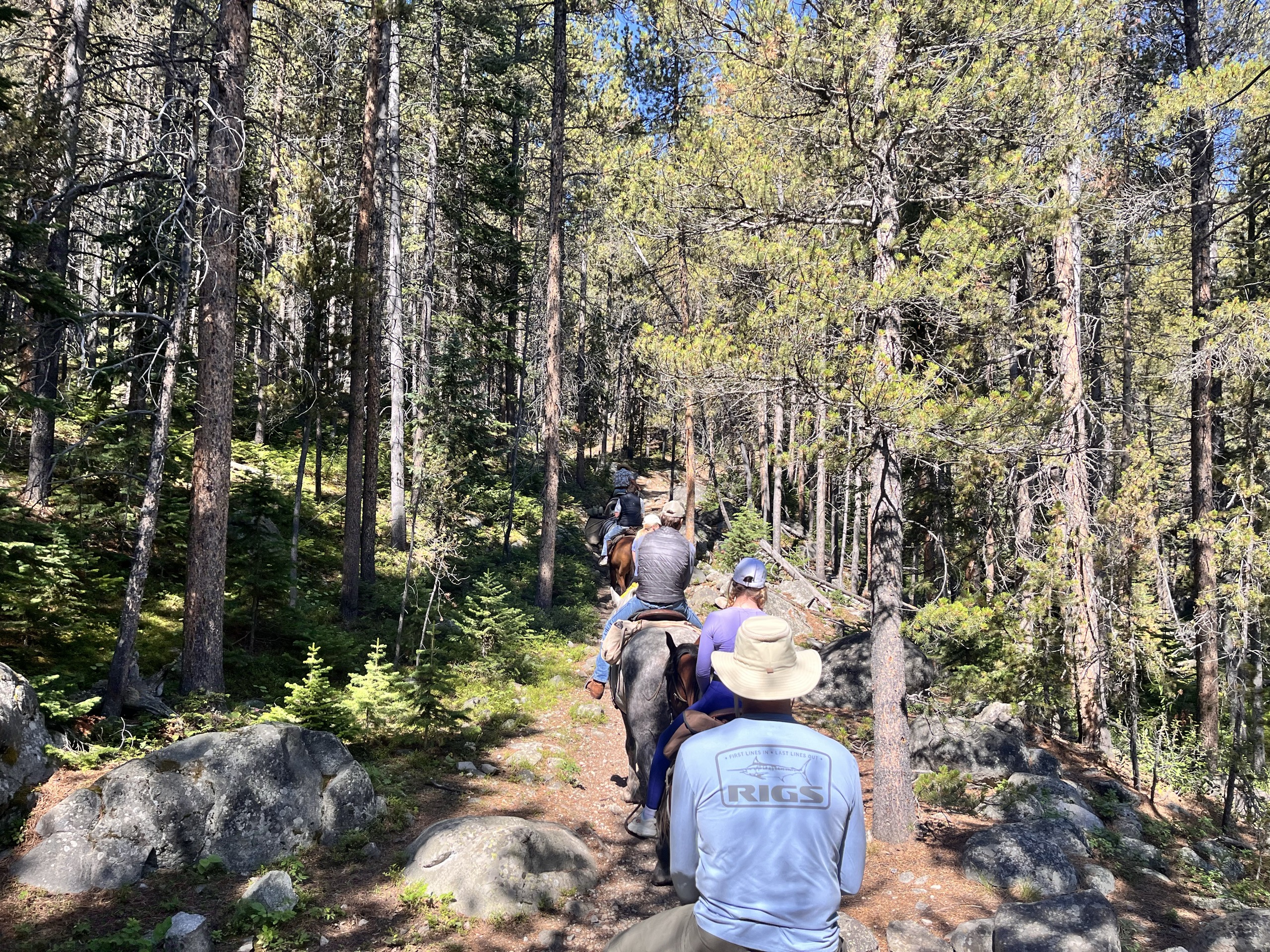 Hiking in the Beartooth Mountains