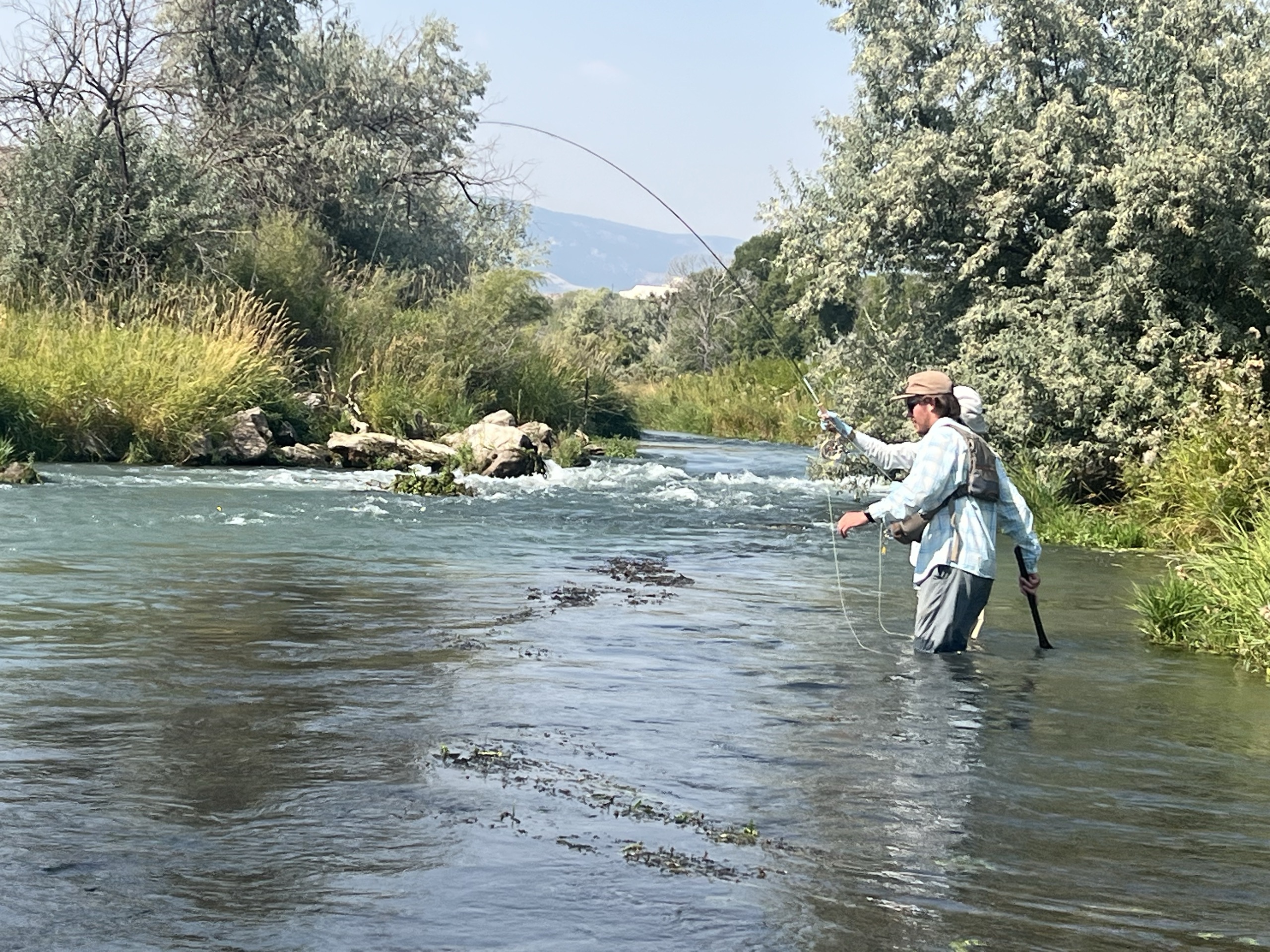 Fly fishing action on the river