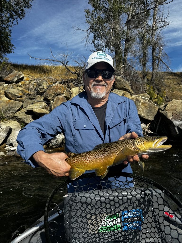 Nice Yellowstone brown trout