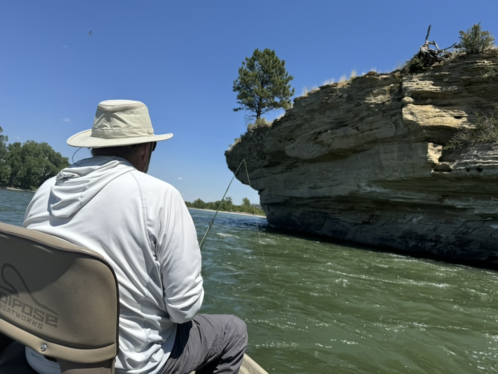 Yellowstone cliffs from the river