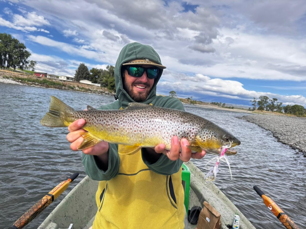 Streaming for brownies on the river