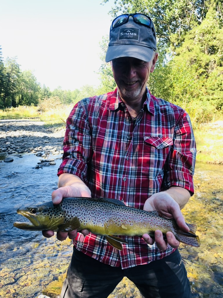 Brown trout from the spring creek, held and released