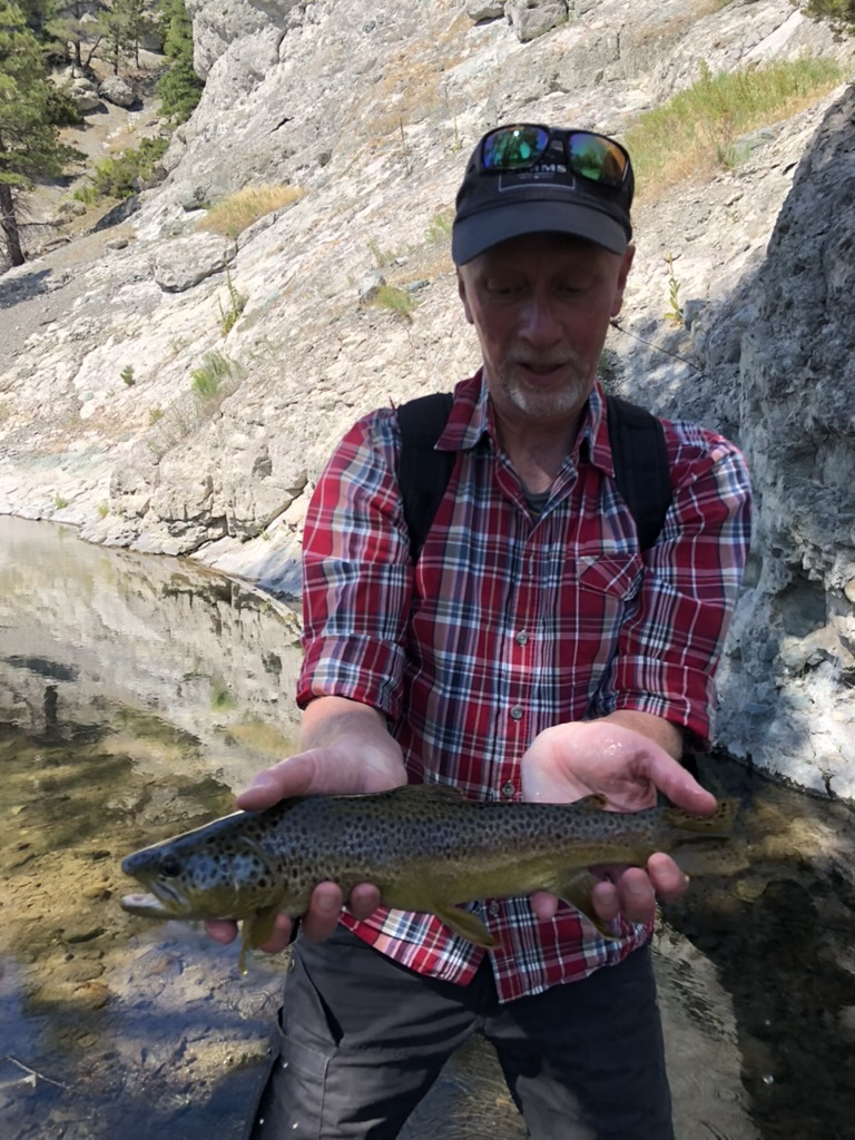 Another brown trout from the spring creek