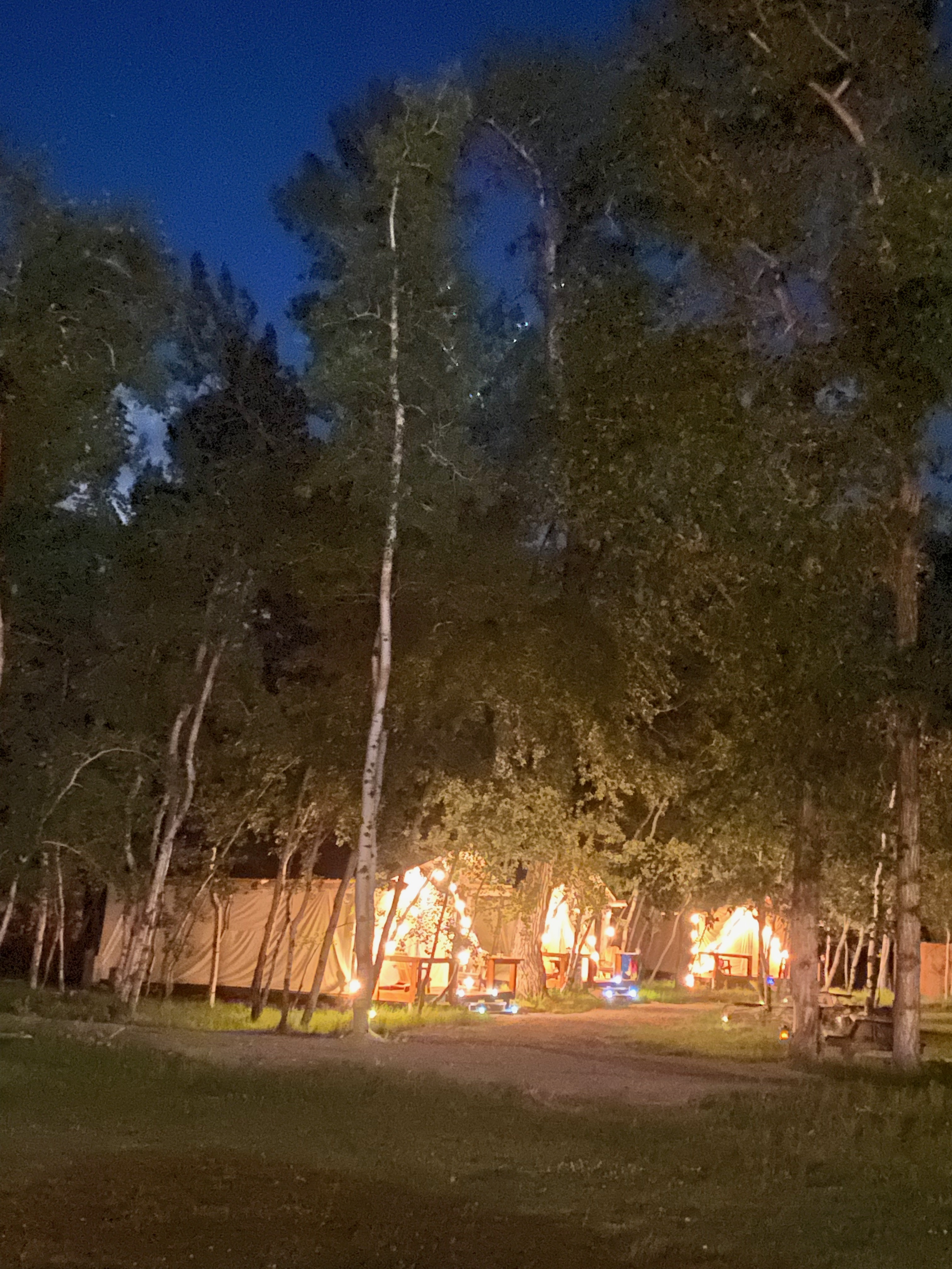 Safari tents glowing at evening under the aspens