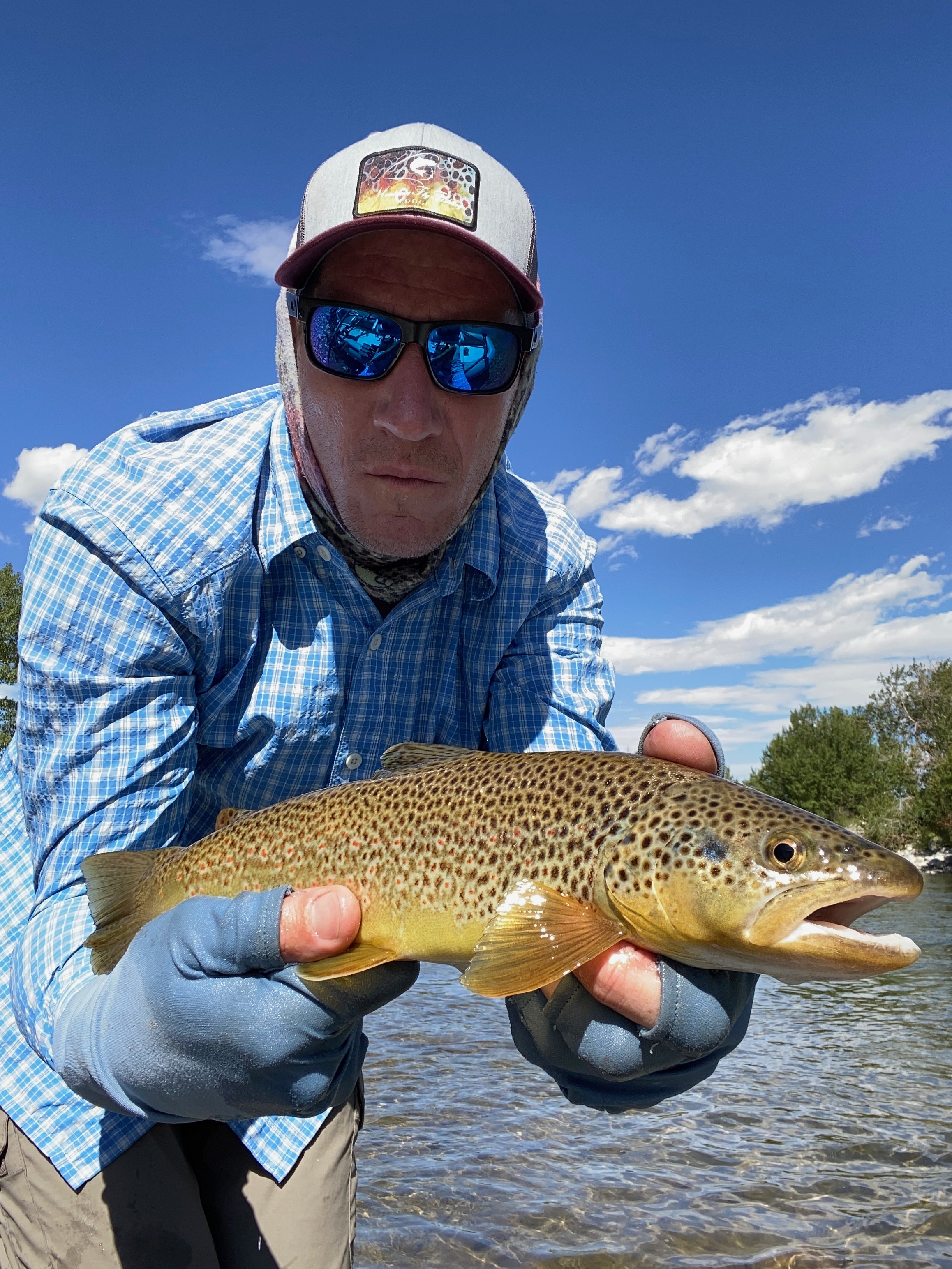 Angler holding a beautiful brown trout on a bluebird day