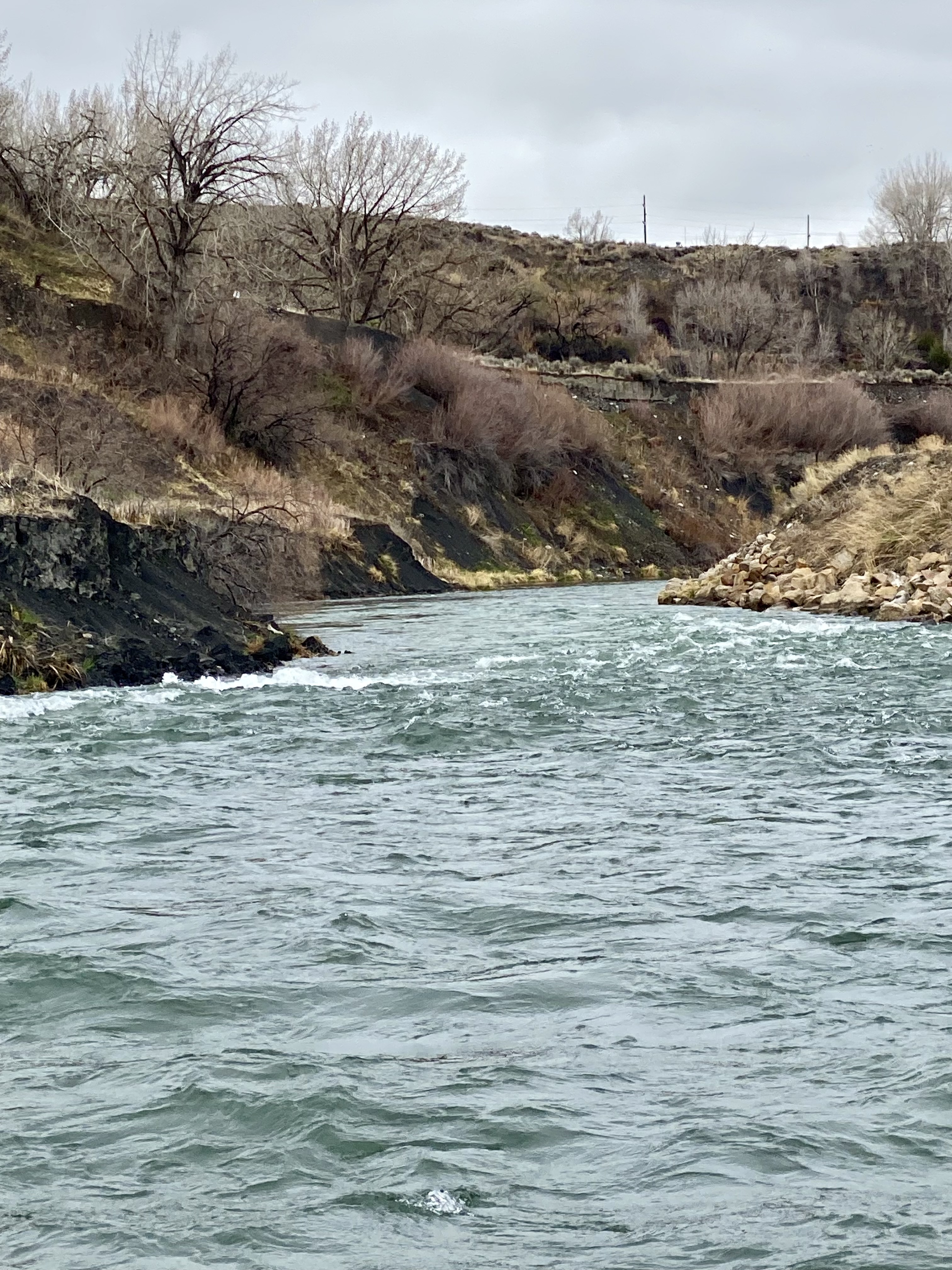 Shoshone River rapids and cutbank scenery