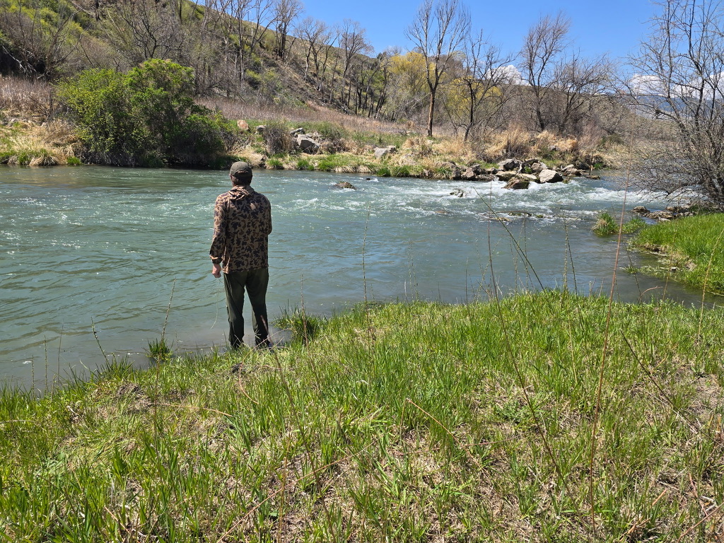 Angler fishing from the bank on the Shoshone