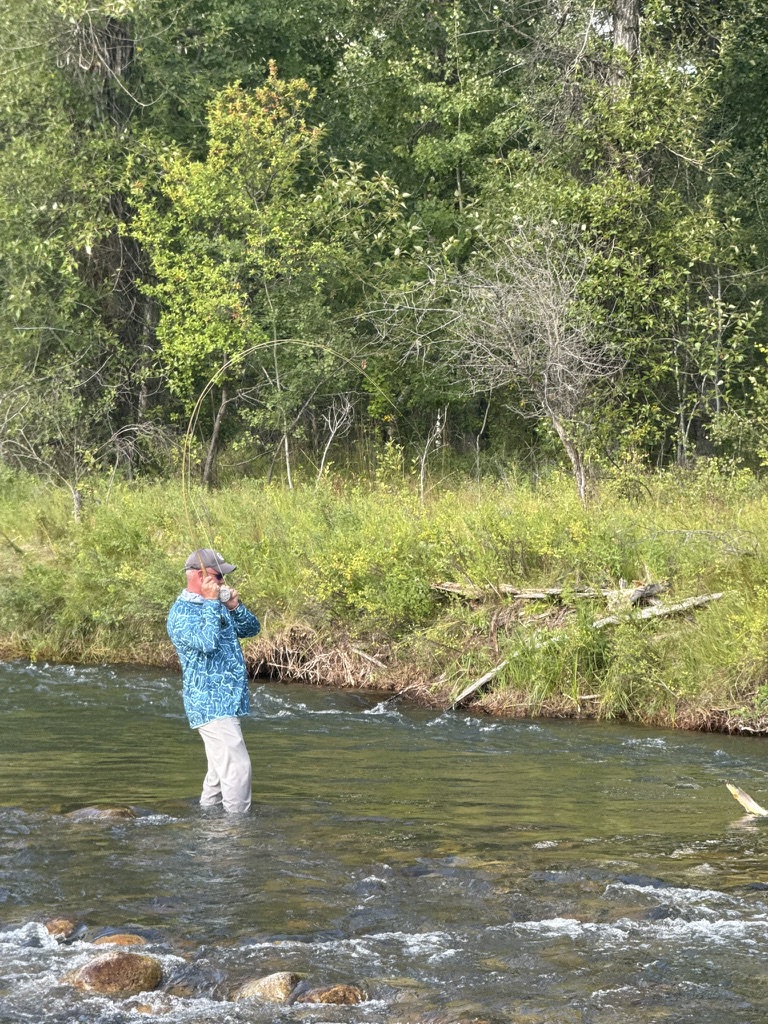Angler casting on a small mountain stream