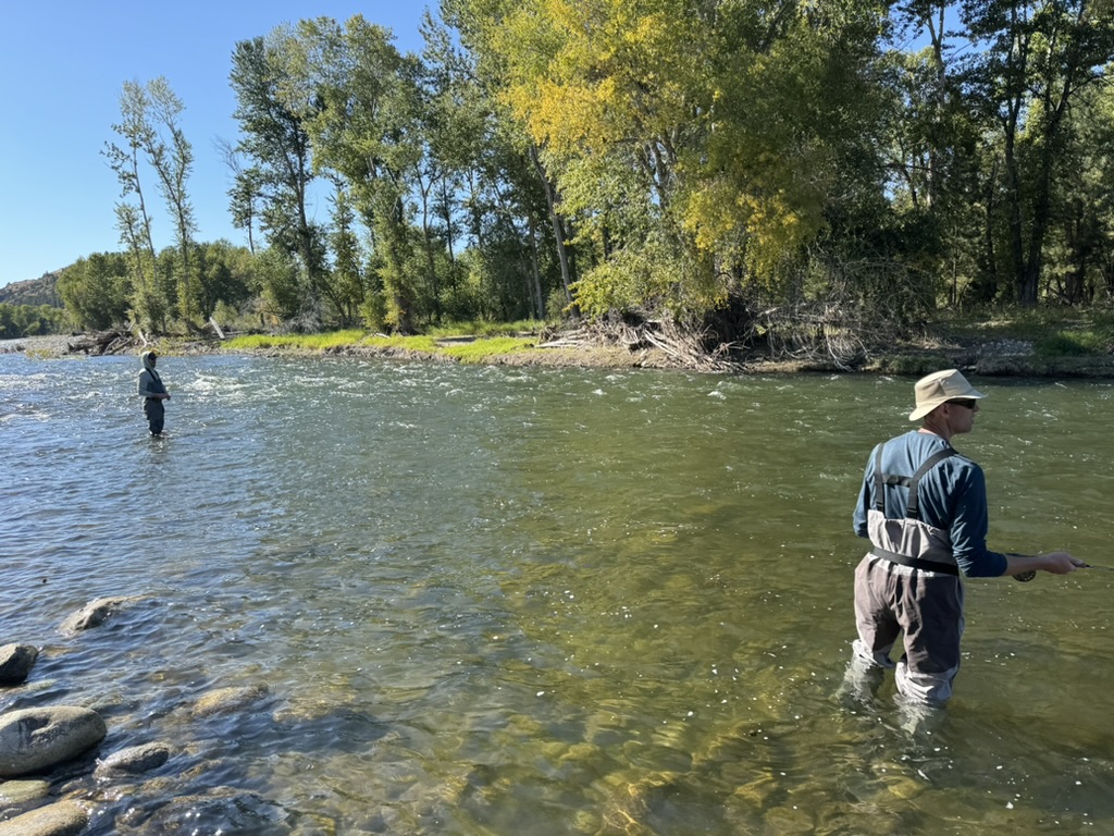 Wade anglers working a small river gravel bar