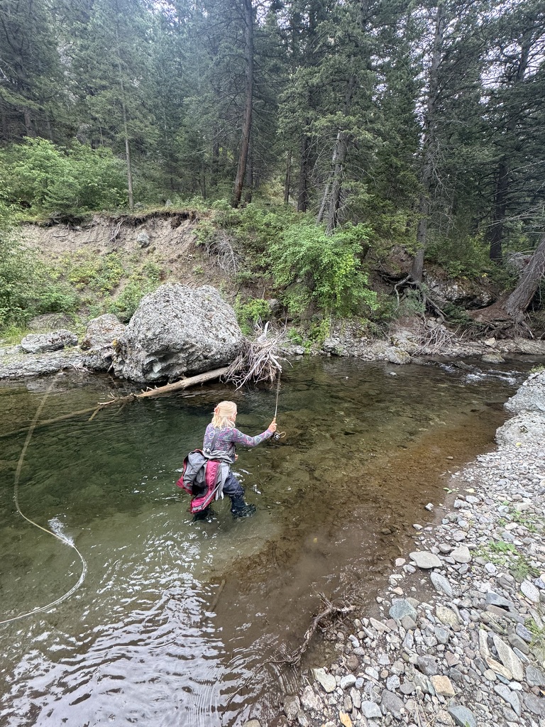 Angler on a secluded forest creek