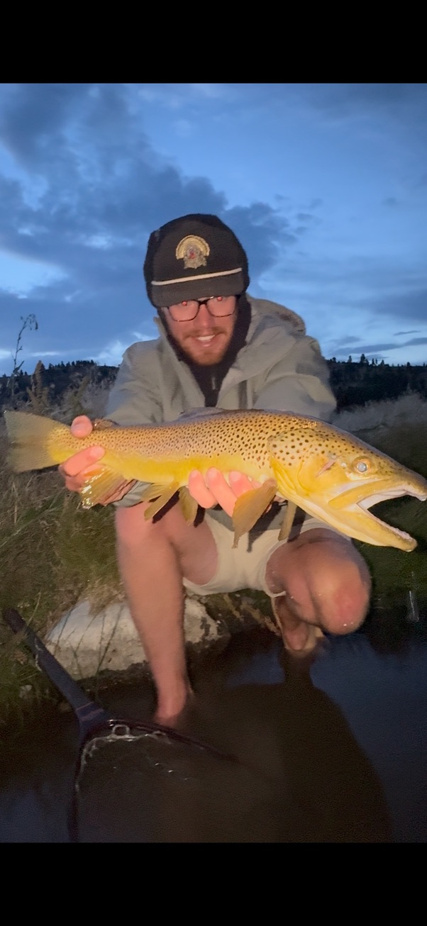 Angler with a big golden brown trout at dusk